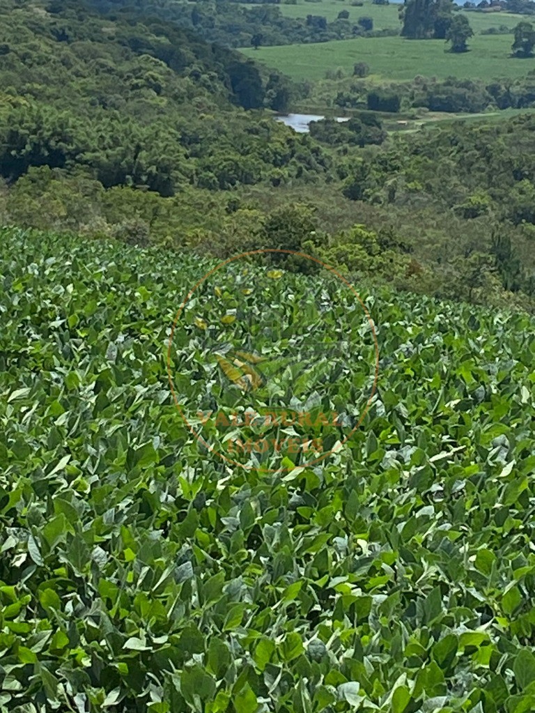 Fazenda à venda, 140m² - Foto 10