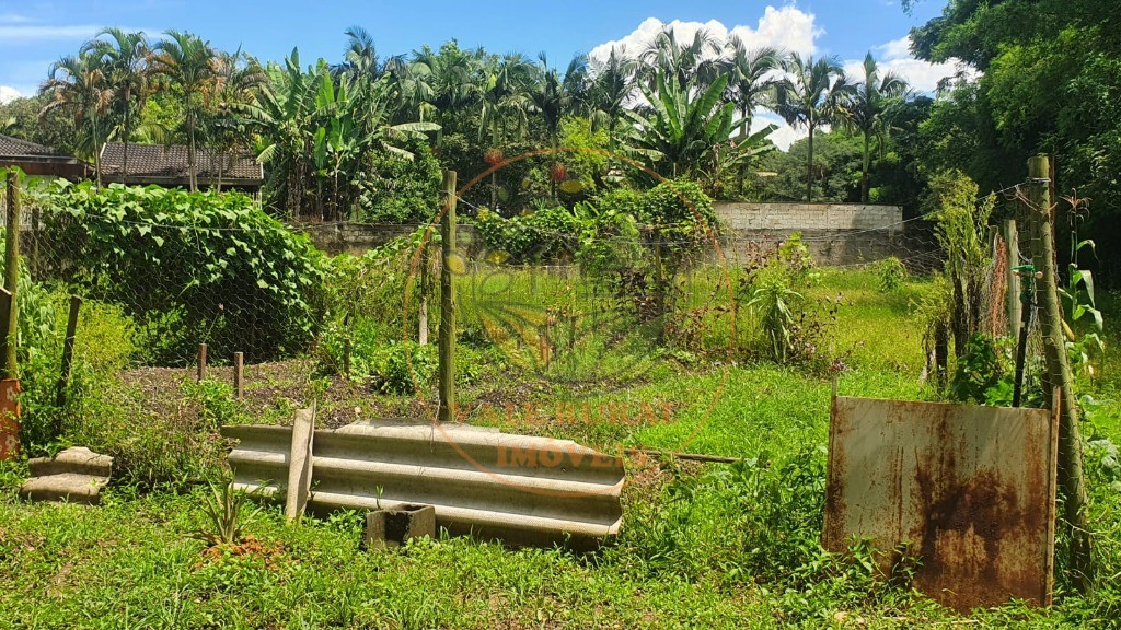 Chácara à venda com 3 quartos, 10000m² - Foto 16