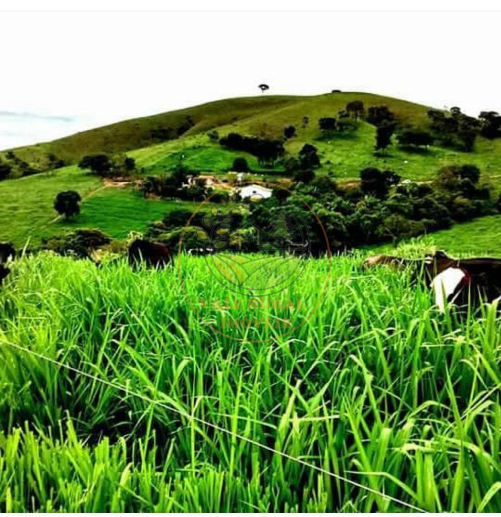 Fazenda à venda com 5 quartos, 192m² - Foto 8