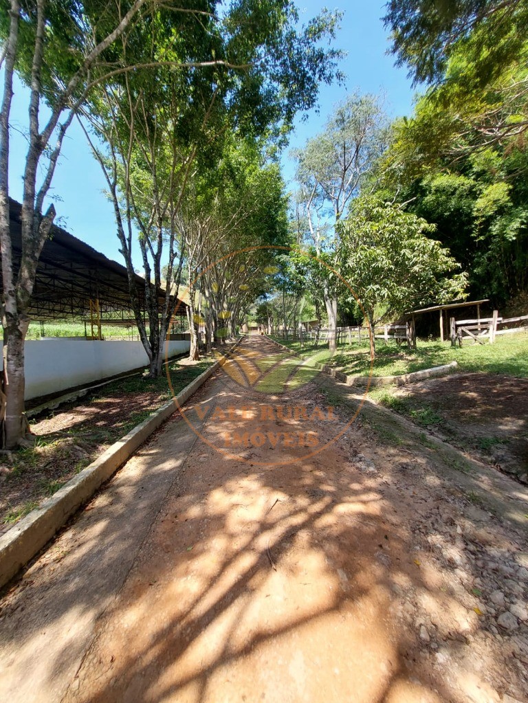 Fazenda à venda com 7 quartos, 33m² - Foto 56