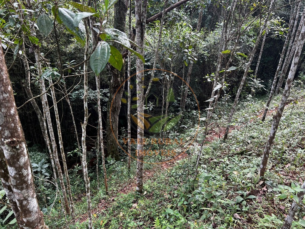 Haras e Área Rural Padrão à venda, 22500m² - Foto 12