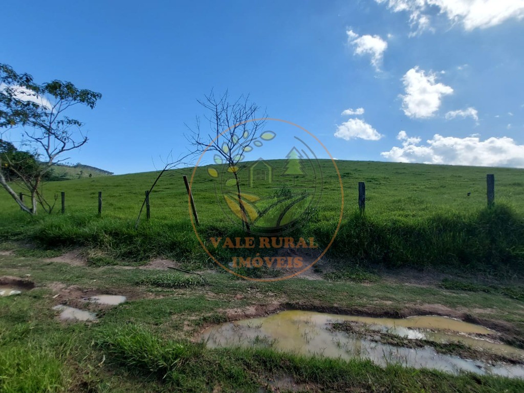 Fazenda à venda com 3 quartos, 30m² - Foto 11