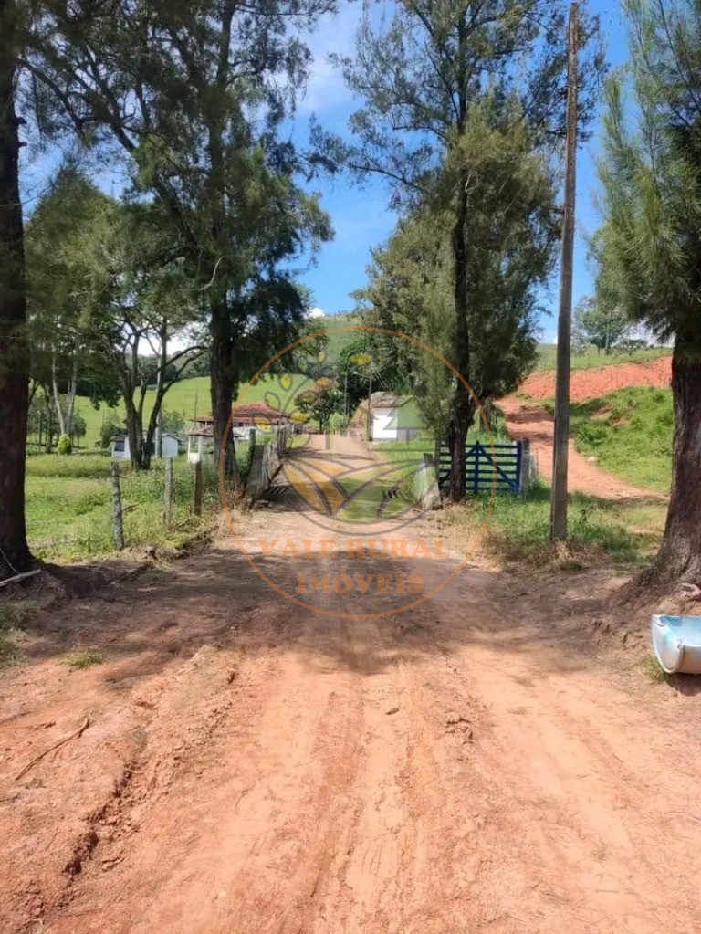 Fazenda à venda com 1 quarto, 347m² - Foto 16