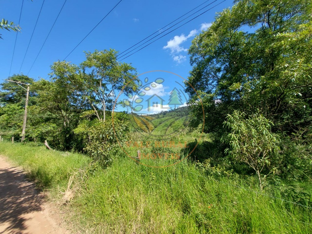 Fazenda à venda com 3 quartos, 30m² - Foto 23