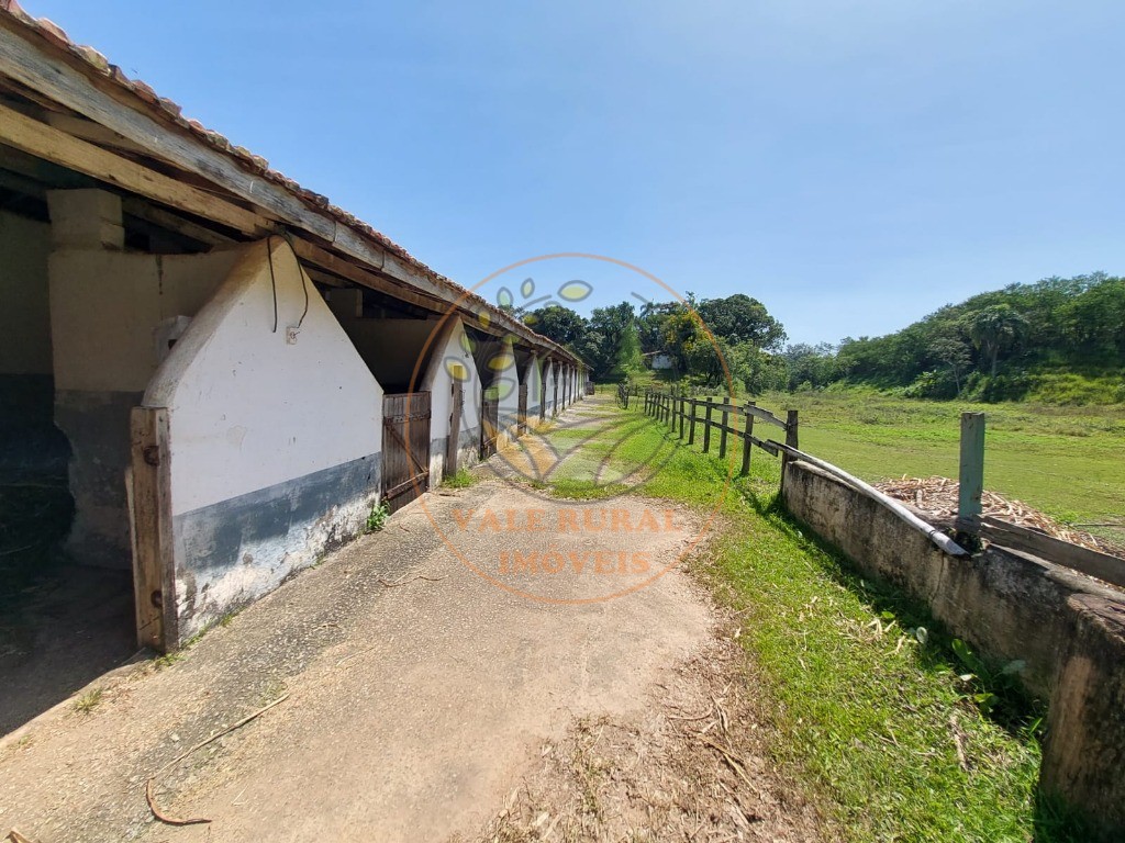 Fazenda à venda com 7 quartos, 33m² - Foto 45