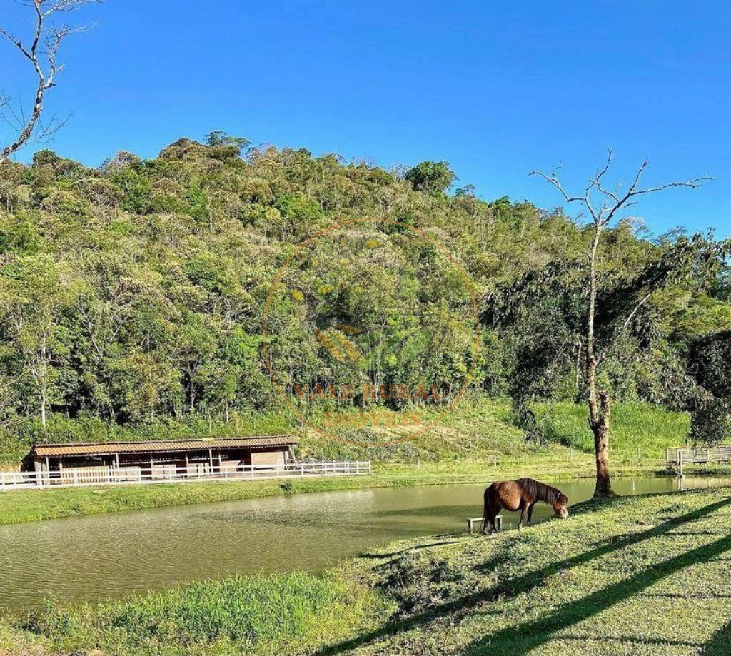 Sítio à venda com 3 quartos, 50000m² - Foto 4