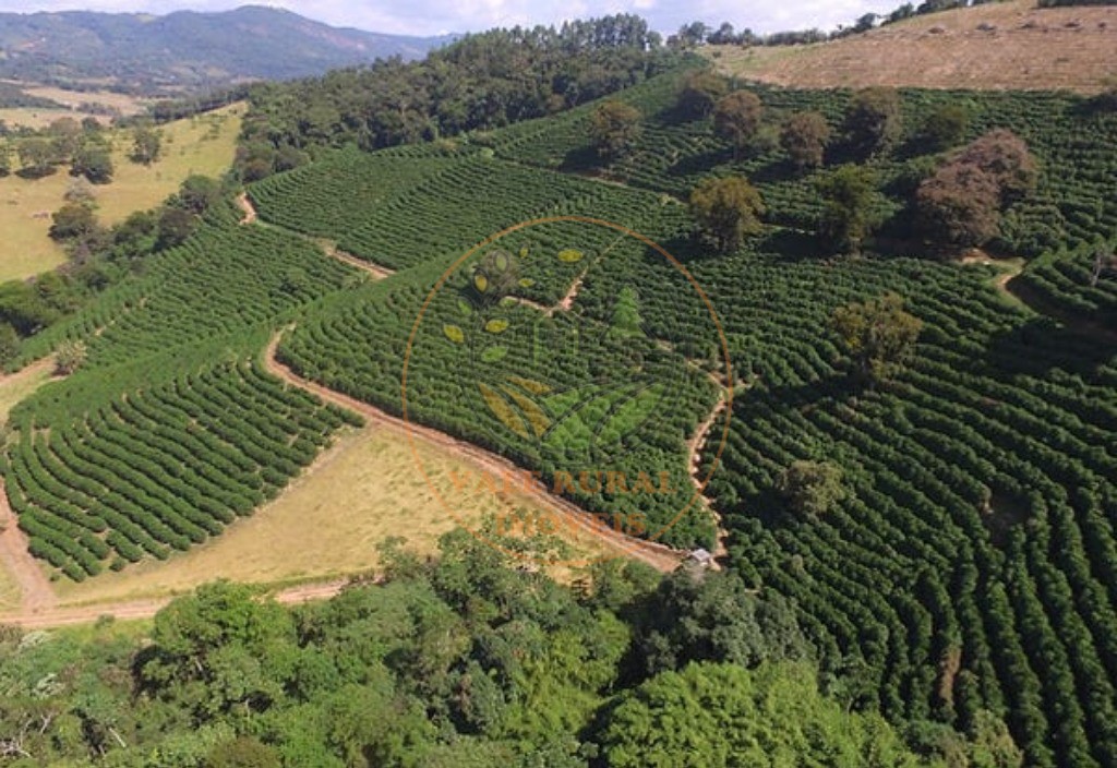 Fazenda à venda com 5 quartos, 101m² - Foto 6