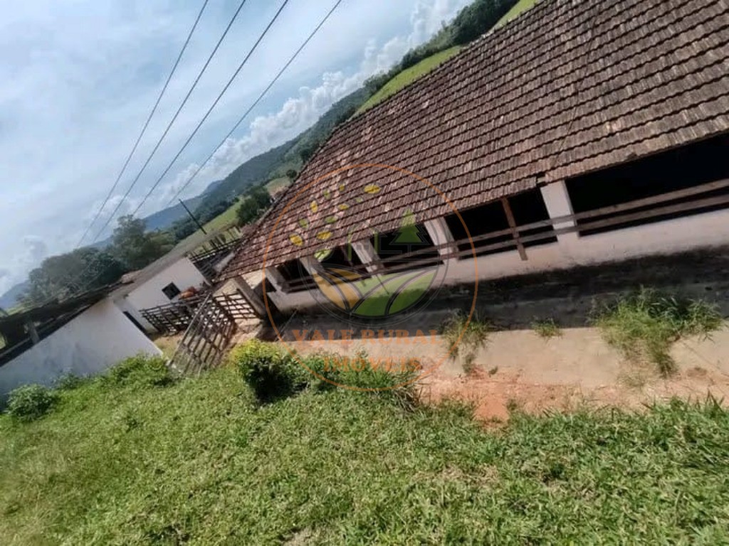 Fazenda à venda com 1 quarto, 347m² - Foto 34