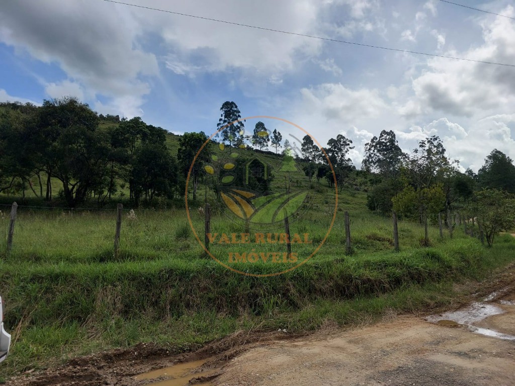 Haras e Área Rural Padrão à venda, 4m² - Foto 4