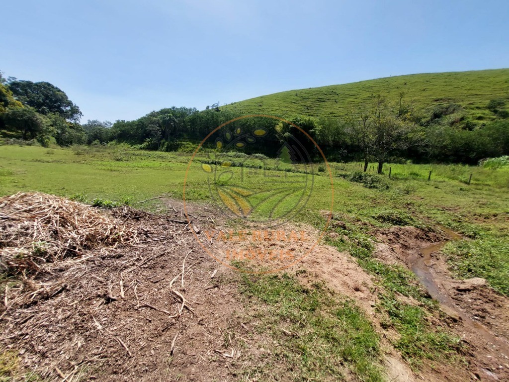 Fazenda à venda com 7 quartos, 33m² - Foto 48