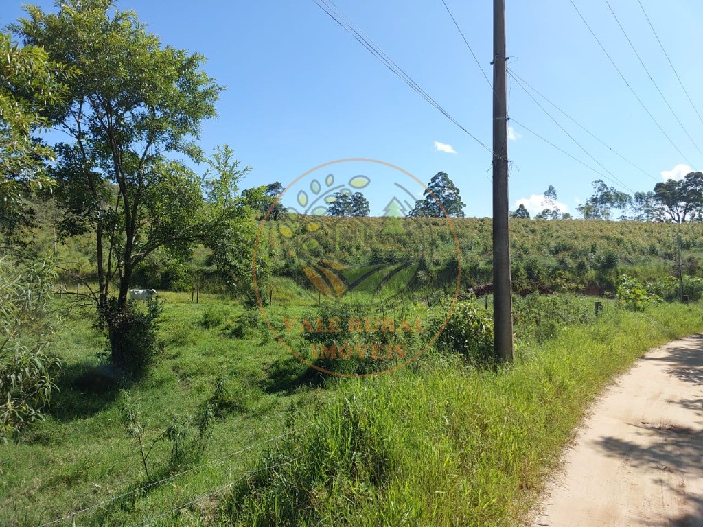 Fazenda à venda com 3 quartos, 30m² - Foto 22