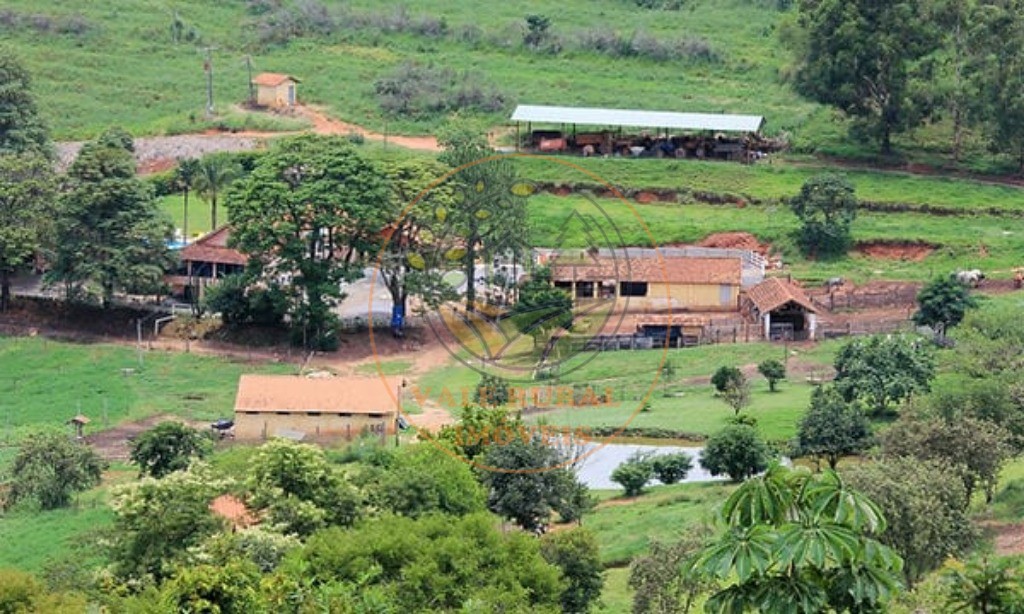 Fazenda à venda com 5 quartos, 101m² - Foto 3