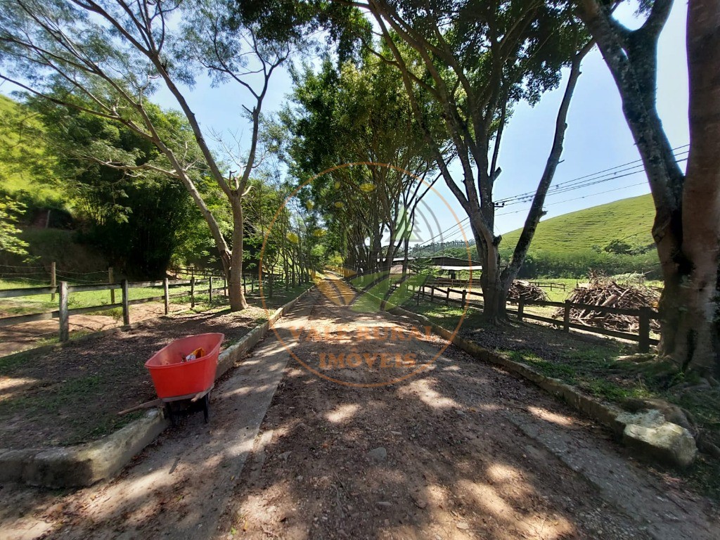 Fazenda à venda com 7 quartos, 33m² - Foto 61