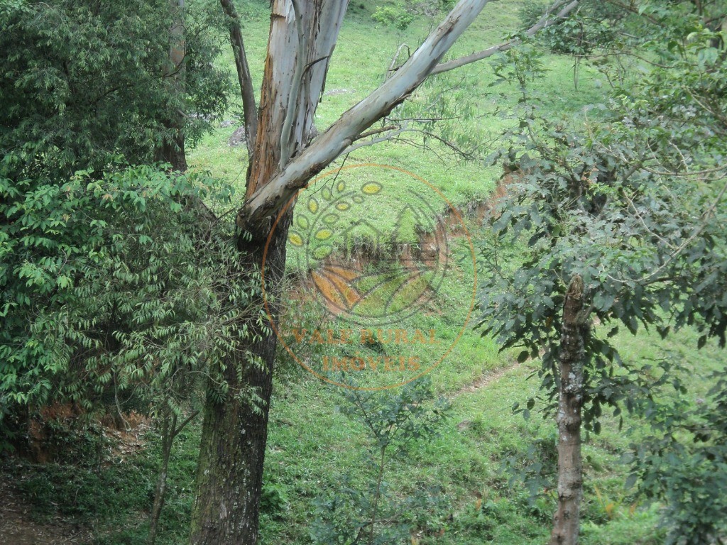 Haras e Área Rural Padrão à venda, 63700m² - Foto 3