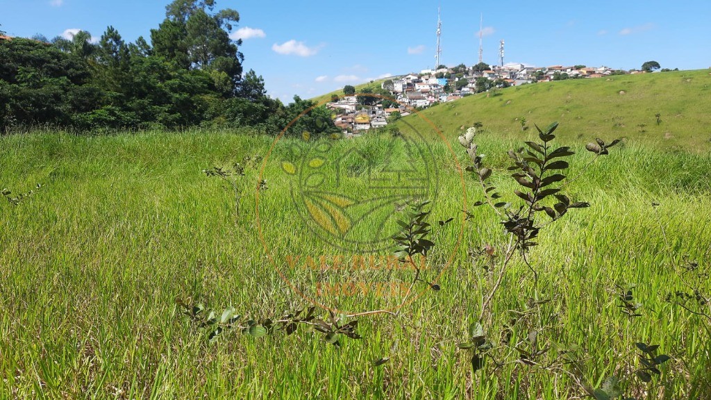 Terreno à venda, 20000m² - Foto 3