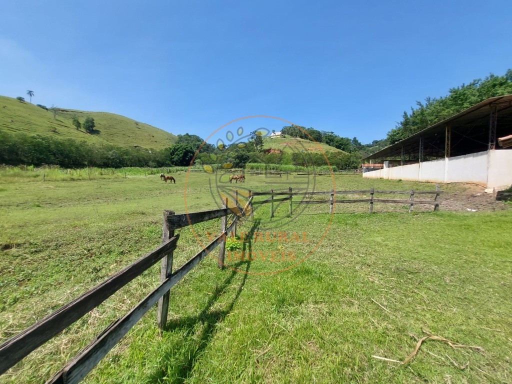 Fazenda à venda com 7 quartos, 33m² - Foto 51