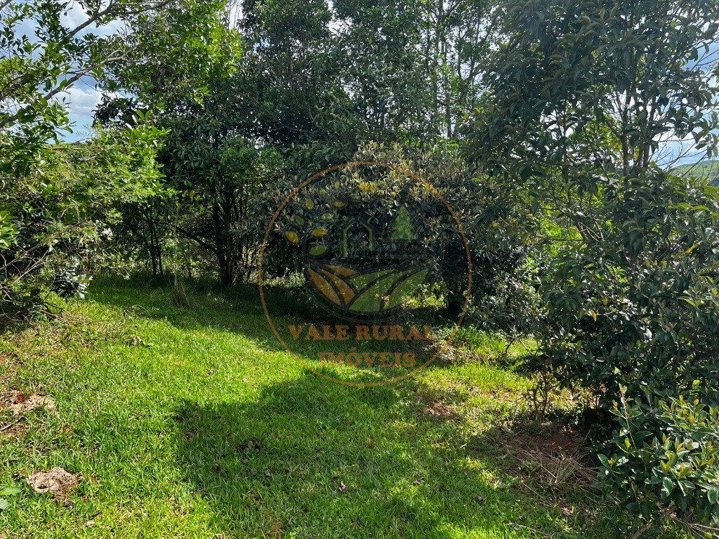 Haras e Área Rural Padrão à venda, 22500m² - Foto 10