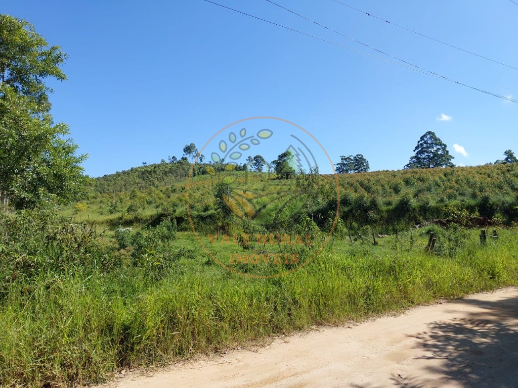 Fazenda à venda com 3 quartos, 30m² - Foto 24