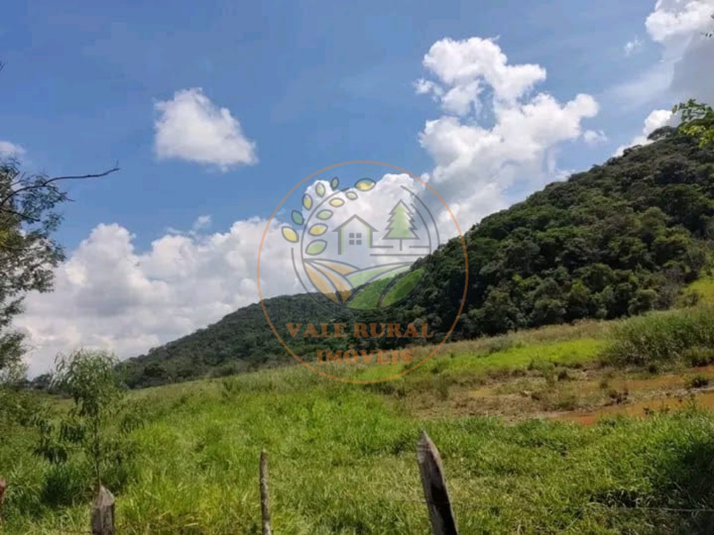 Fazenda à venda com 1 quarto, 347m² - Foto 6