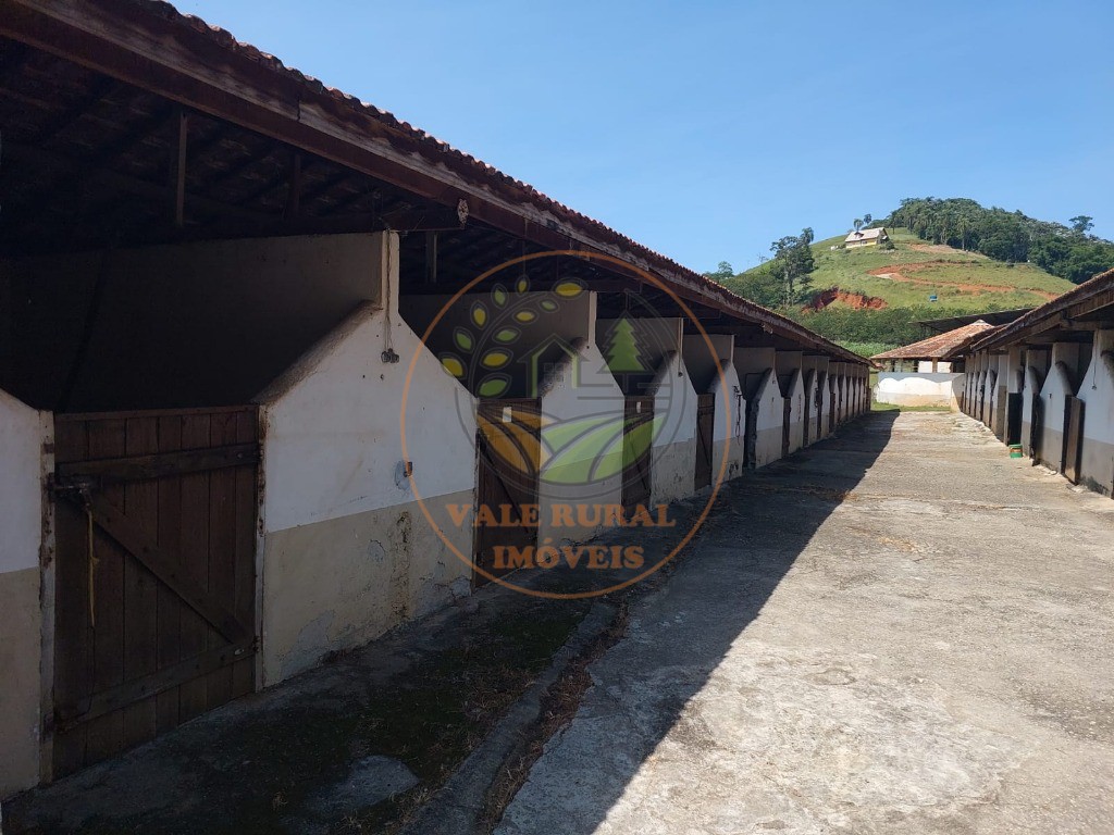 Fazenda à venda com 7 quartos, 33m² - Foto 38