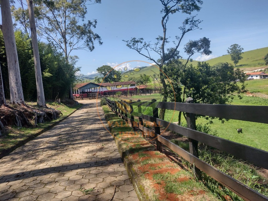 Fazenda à venda com 3 quartos, 85m² - Foto 7