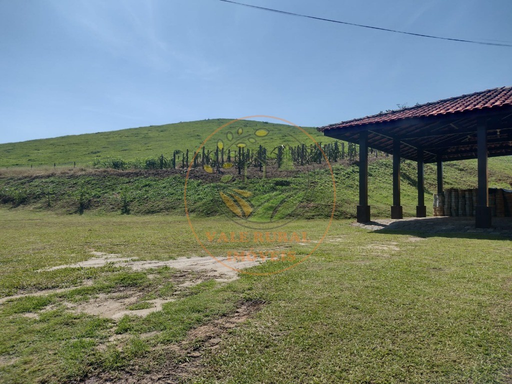 Fazenda à venda com 3 quartos, 85m² - Foto 6