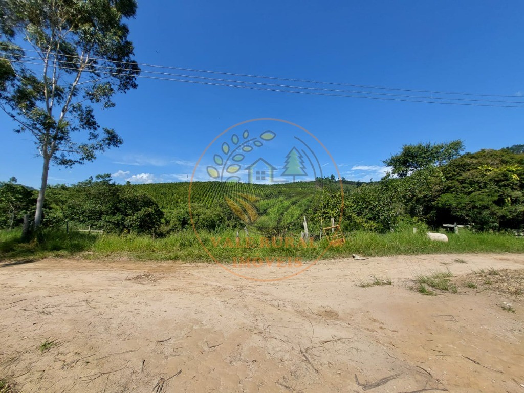 Fazenda à venda com 3 quartos, 30m² - Foto 28