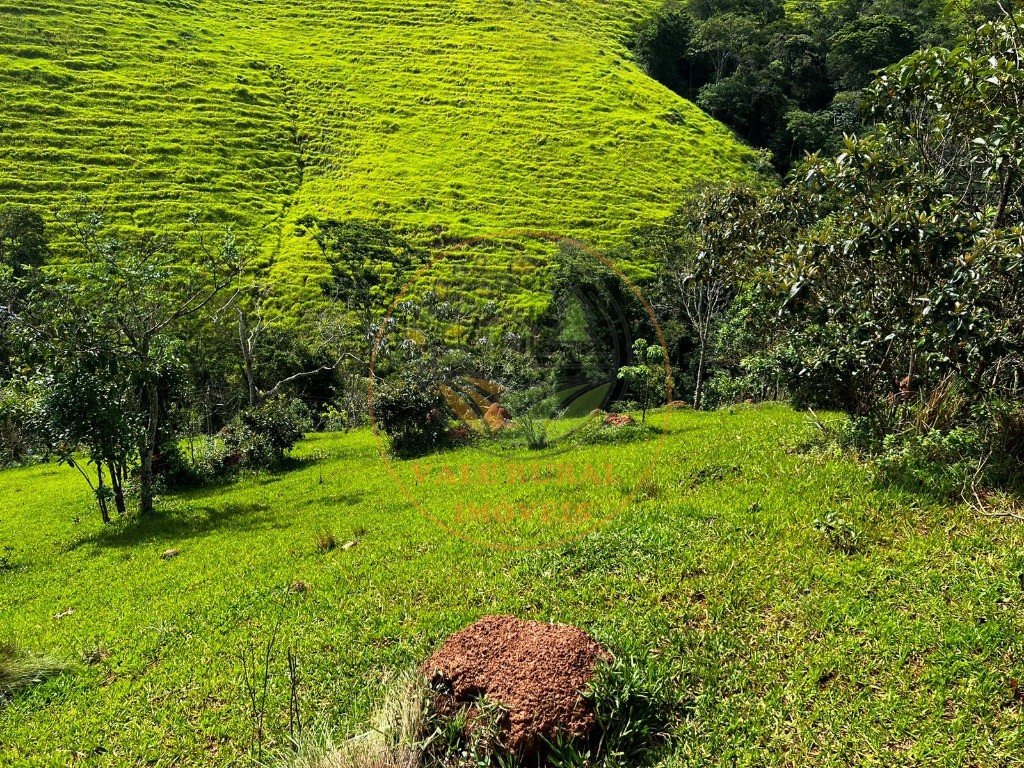 Haras e Área Rural Padrão à venda, 22500m² - Foto 1