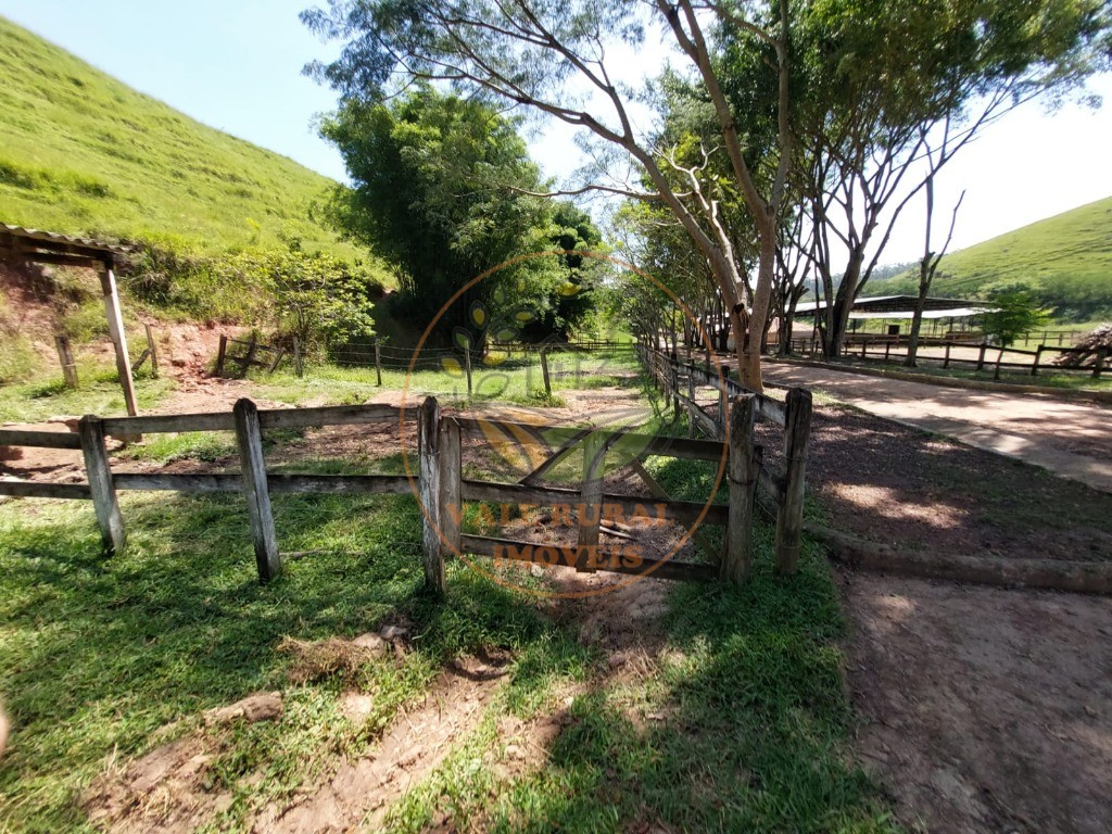 Fazenda à venda com 7 quartos, 33m² - Foto 60