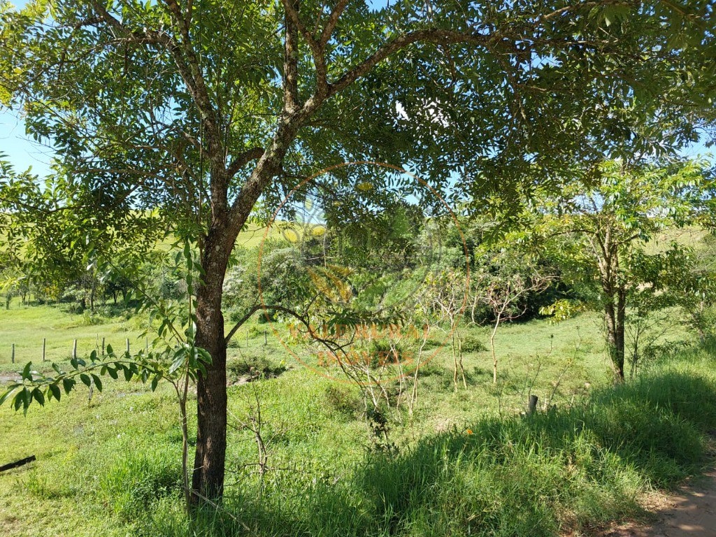 Fazenda à venda com 3 quartos, 30m² - Foto 21