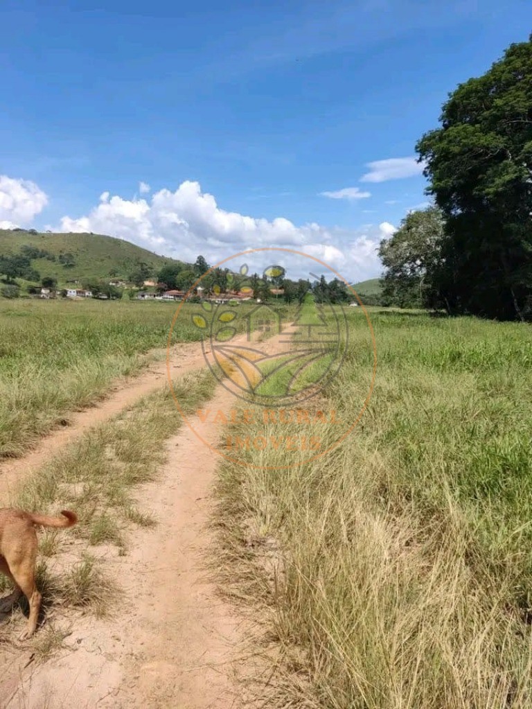 Fazenda à venda com 1 quarto, 347m² - Foto 17