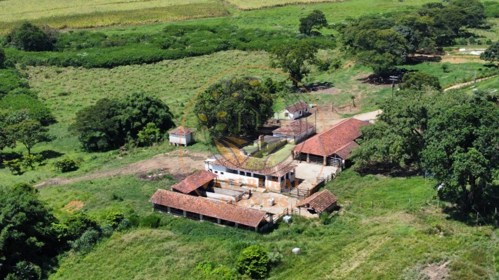 Fazenda à venda com 3 quartos, 56m² - Foto 15