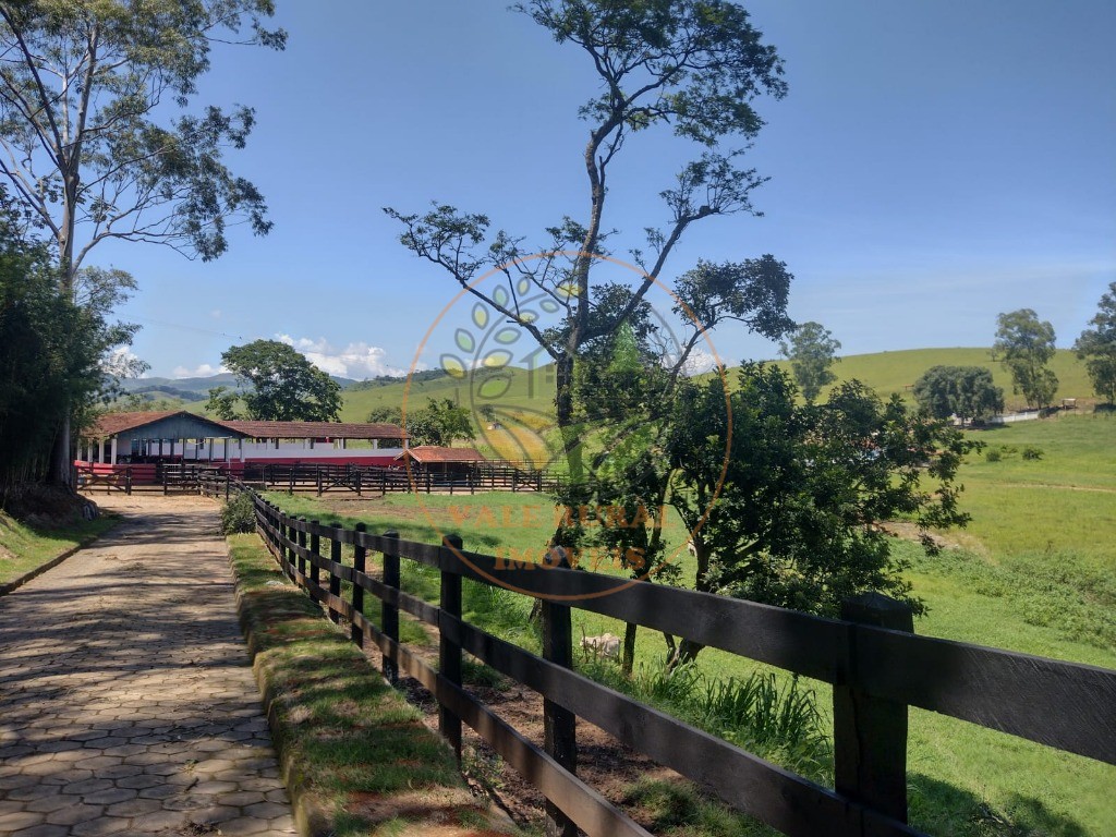 Fazenda à venda com 3 quartos, 85m² - Foto 29