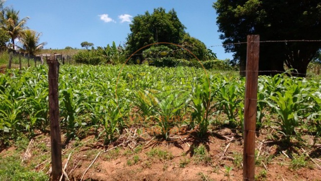 Terreno à venda, 1400m² - Foto 2