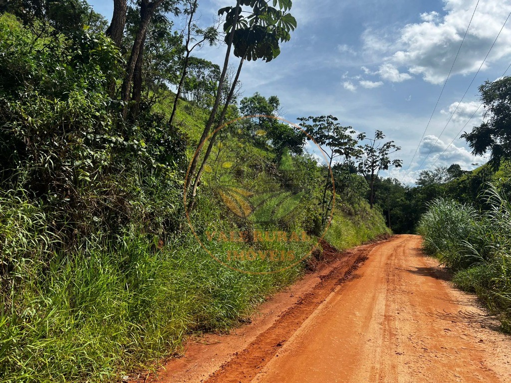 Haras e Área Rural Padrão à venda, 22500m² - Foto 7