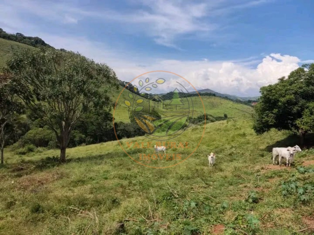 Fazenda à venda com 1 quarto, 347m² - Foto 36