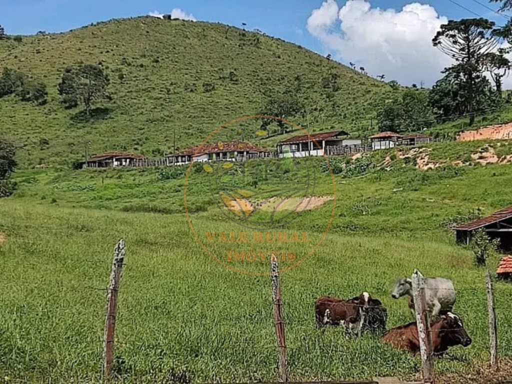 Fazenda à venda com 1 quarto, 347m² - Foto 3