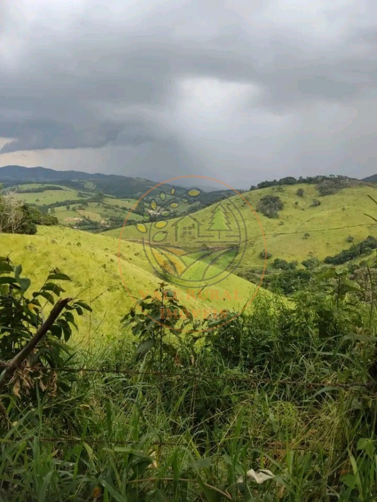 Fazenda à venda com 1 quarto, 347m² - Foto 37