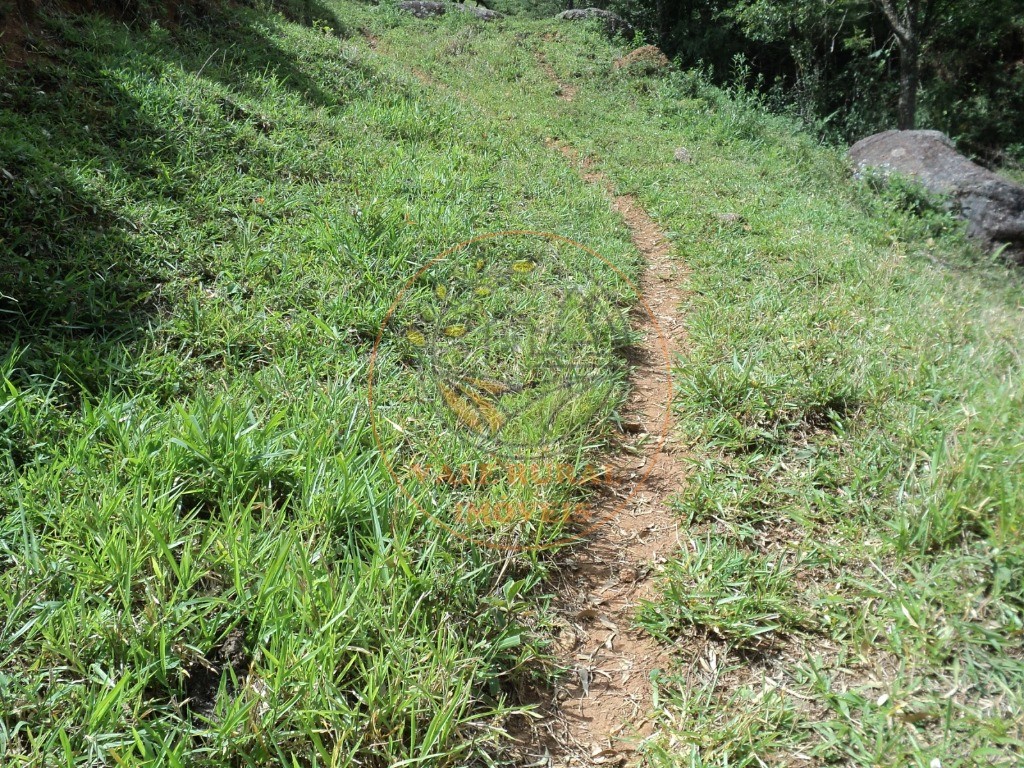 Haras e Área Rural Padrão à venda, 63700m² - Foto 16