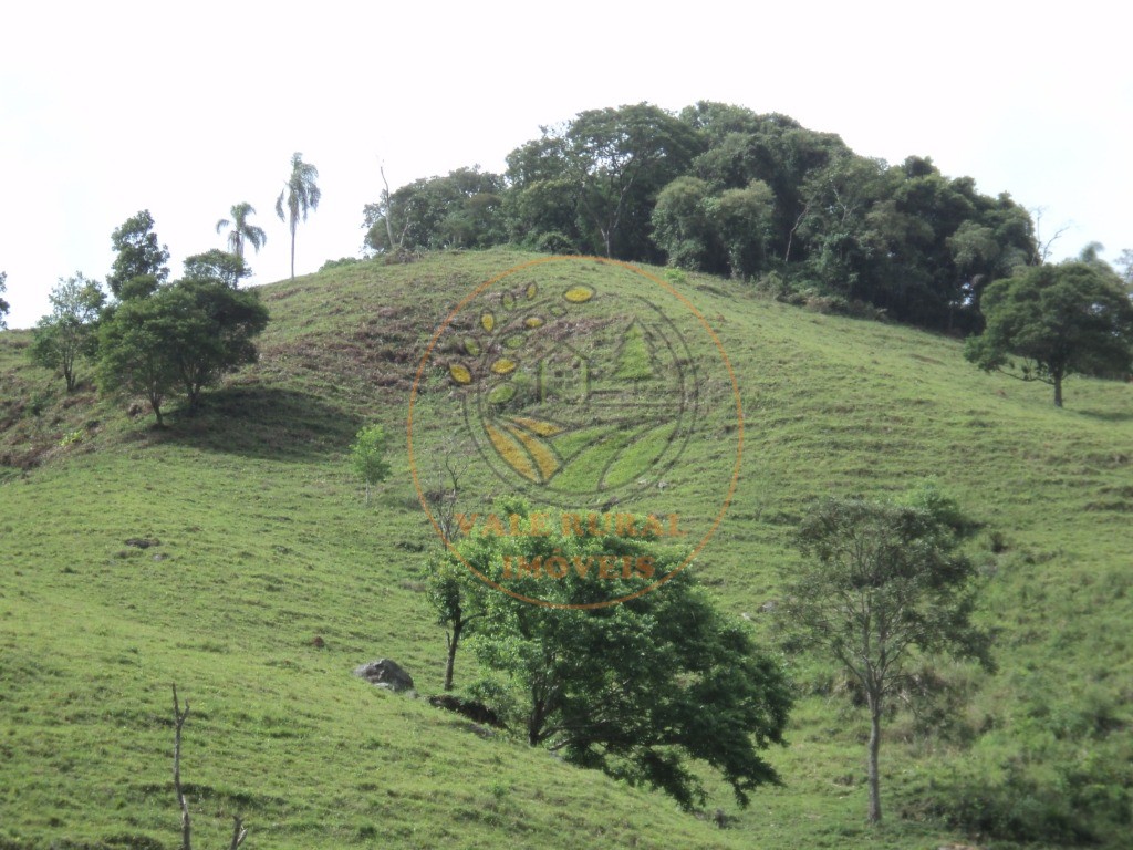 Haras e Área Rural Padrão à venda, 63700m² - Foto 14