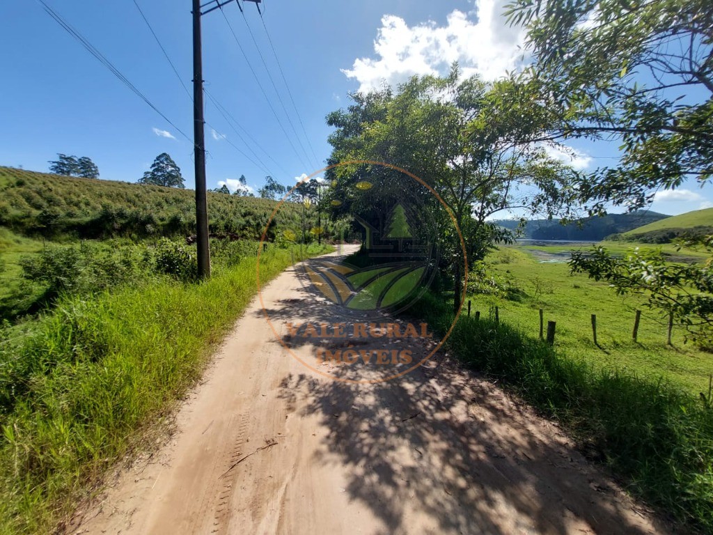 Fazenda à venda com 3 quartos, 30m² - Foto 19