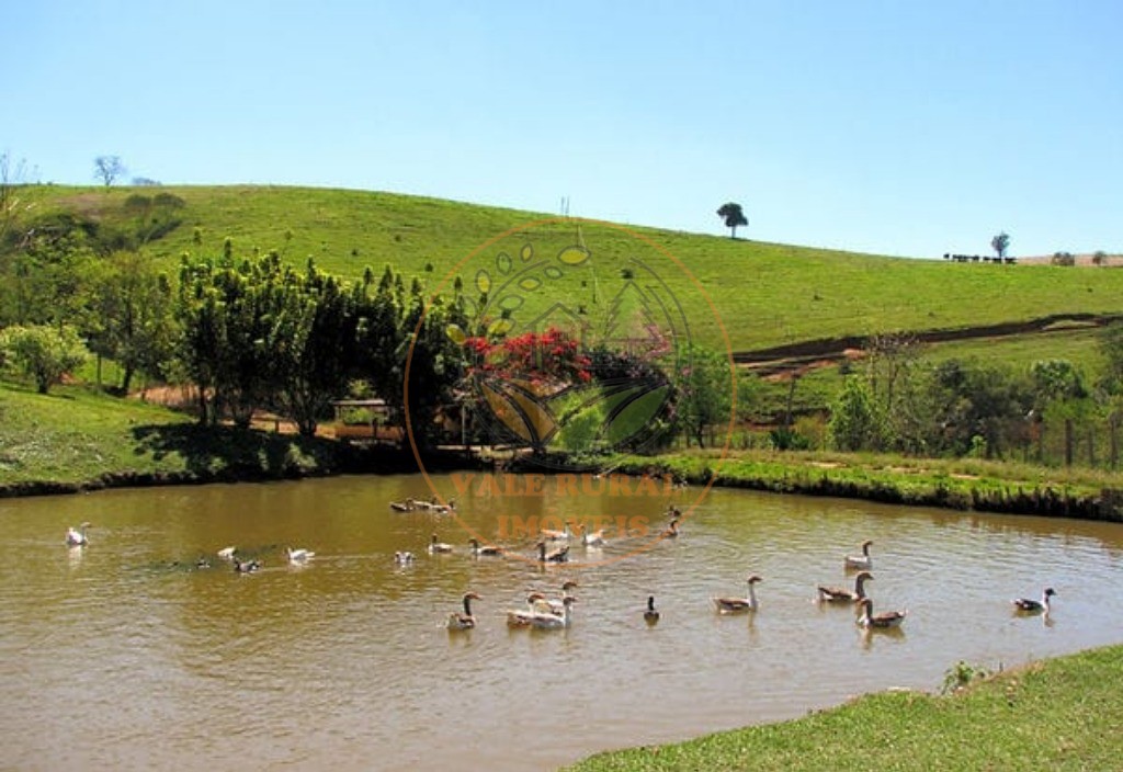 Fazenda à venda com 5 quartos, 101m² - Foto 4