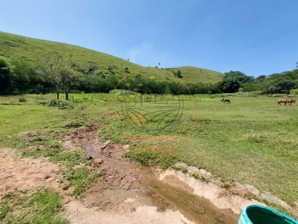 Fazenda à venda com 7 quartos, 33m² - Foto 44