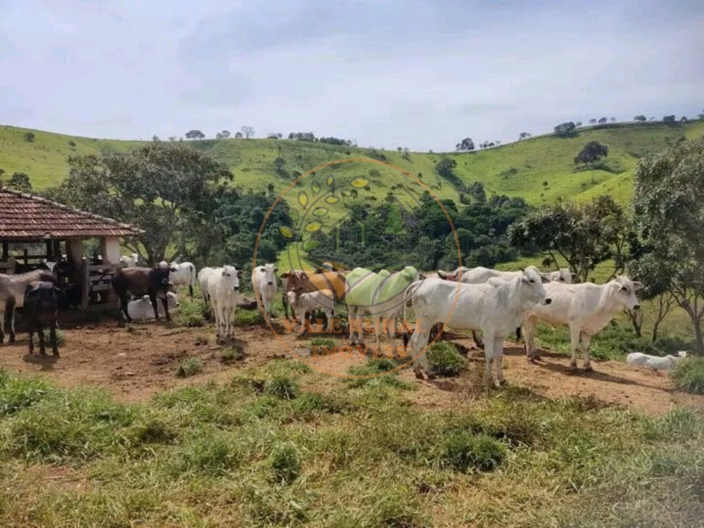 Fazenda à venda com 1 quarto, 347m² - Foto 1