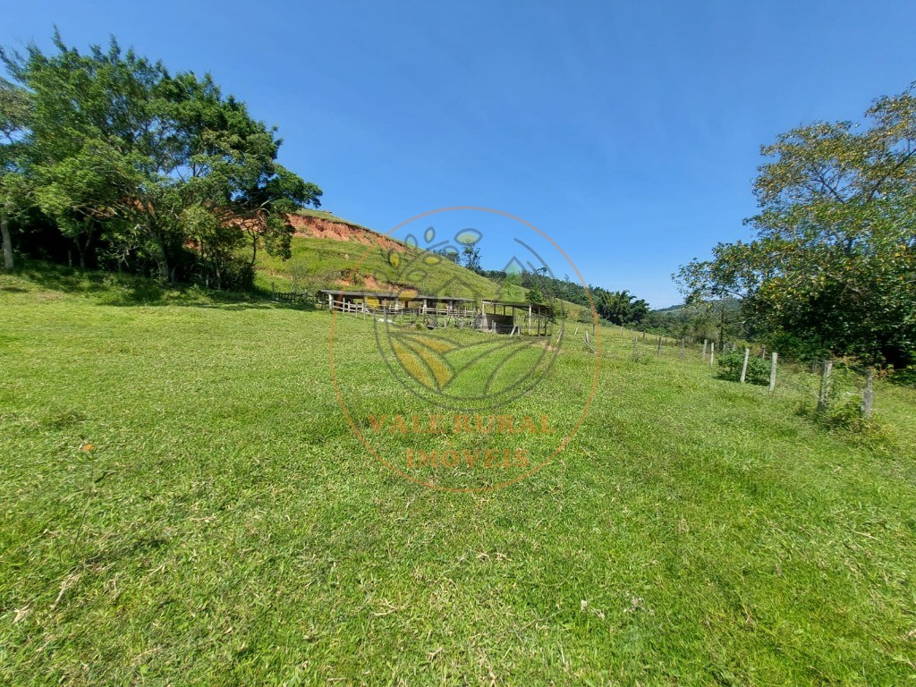 Fazenda à venda com 7 quartos, 33m² - Foto 29