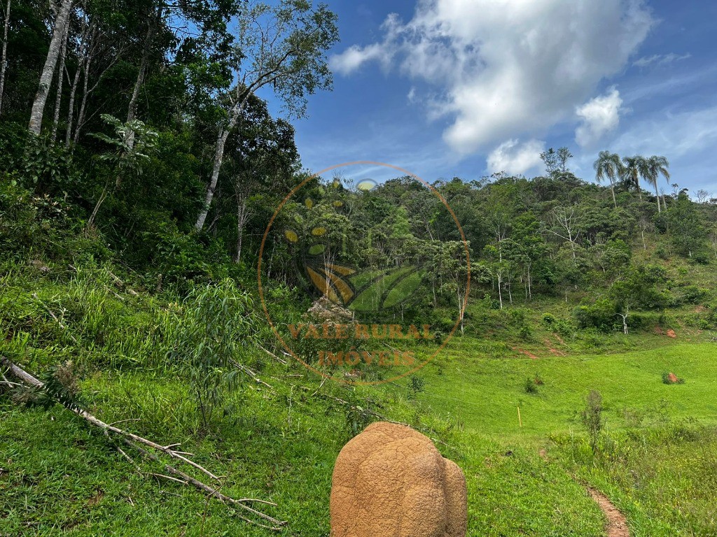 Haras e Área Rural Padrão à venda, 22500m² - Foto 13