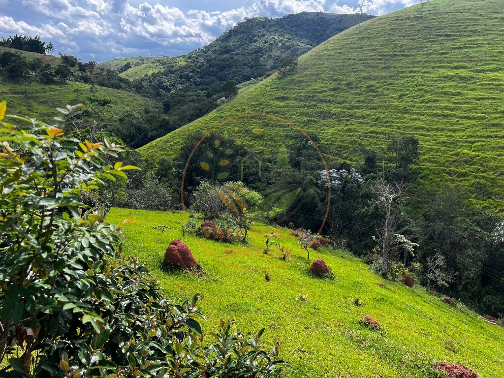 Haras e Área Rural Padrão à venda, 22500m² - Foto 15