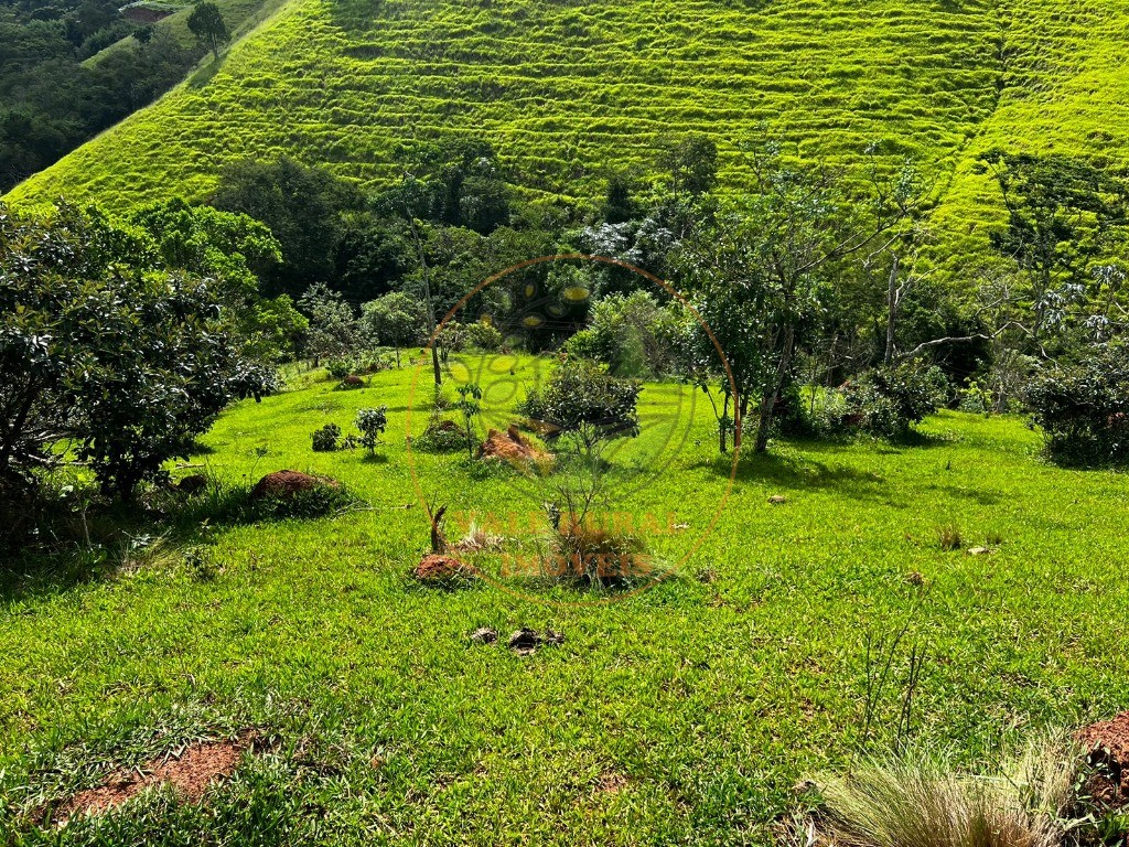 Haras e Área Rural Padrão à venda, 22500m² - Foto 5