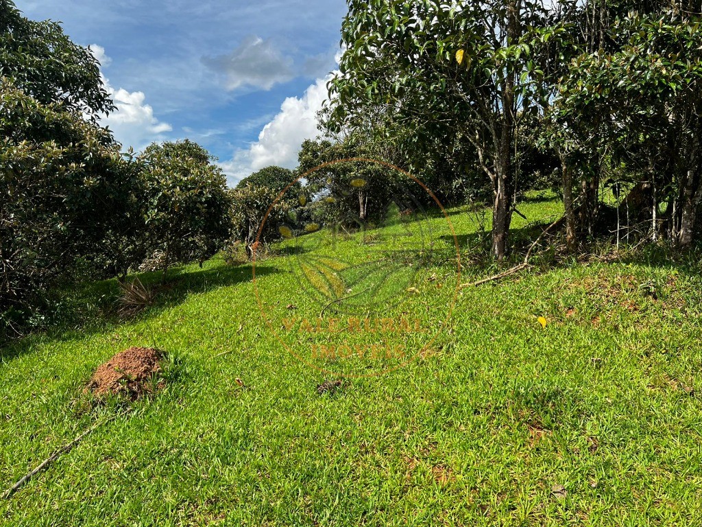 Haras e Área Rural Padrão à venda, 22500m² - Foto 9