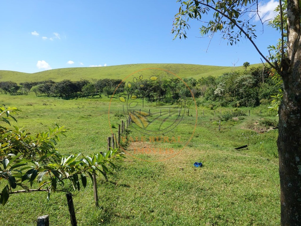 Fazenda à venda com 3 quartos, 30m² - Foto 29